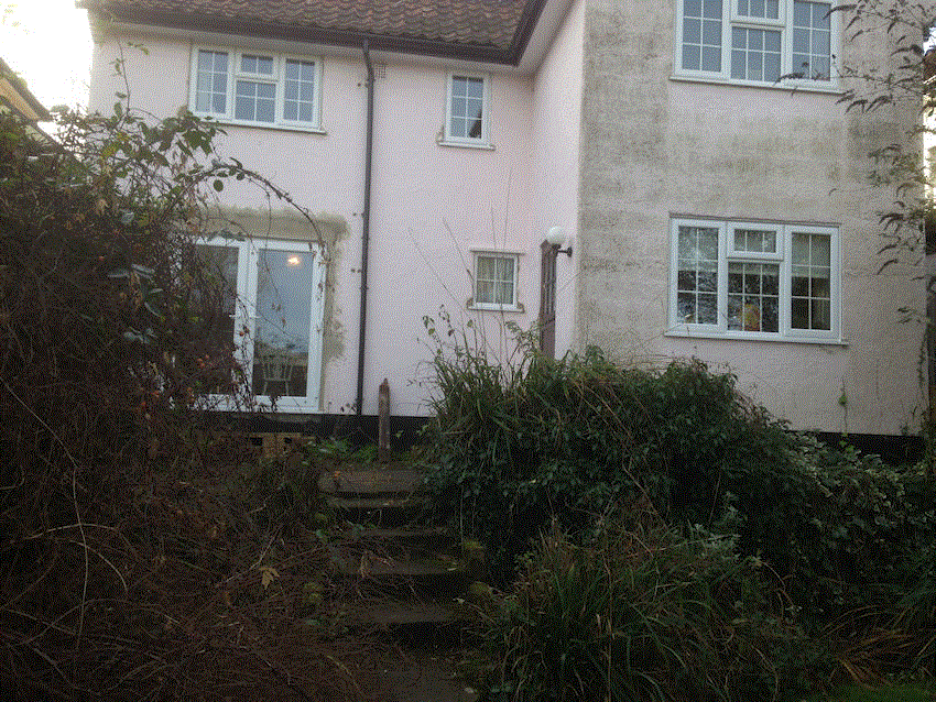 Overgrown and dull.